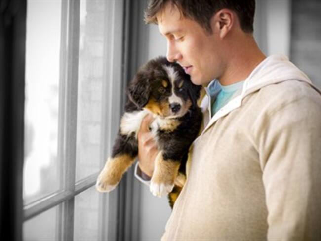 Su bienestar, nuestra pasión