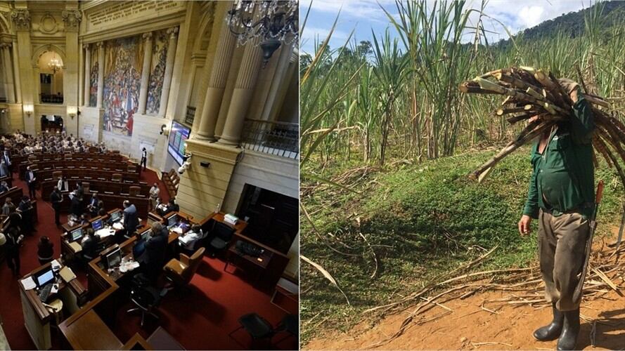 Mientras unos conocen las realidad política, otros viven preocupados por su situación diaria y salir adelante. Foto: Colprensa.