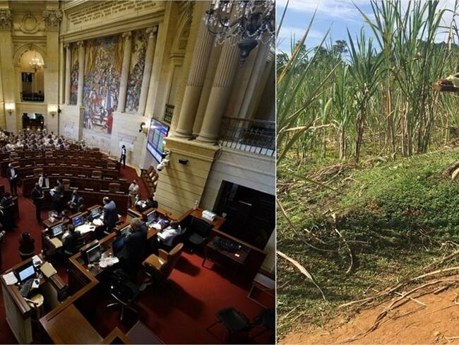 Mientras unos conocen las realidad política, otros viven preocupados por su situación diaria y salir adelante. Foto: Colprensa.