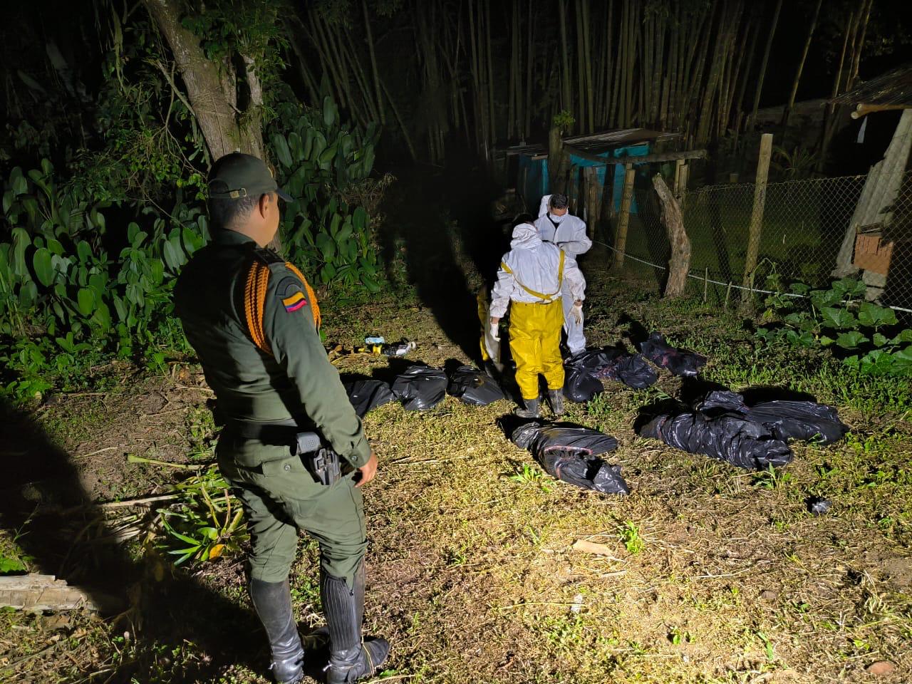 Foto: Oficial Carder