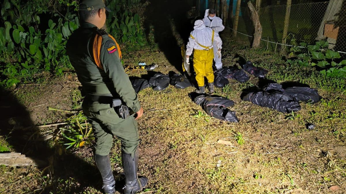 Al menos 10 cuerpos de perros fueron encontrados en una fuente hídrica de Dosquebradas