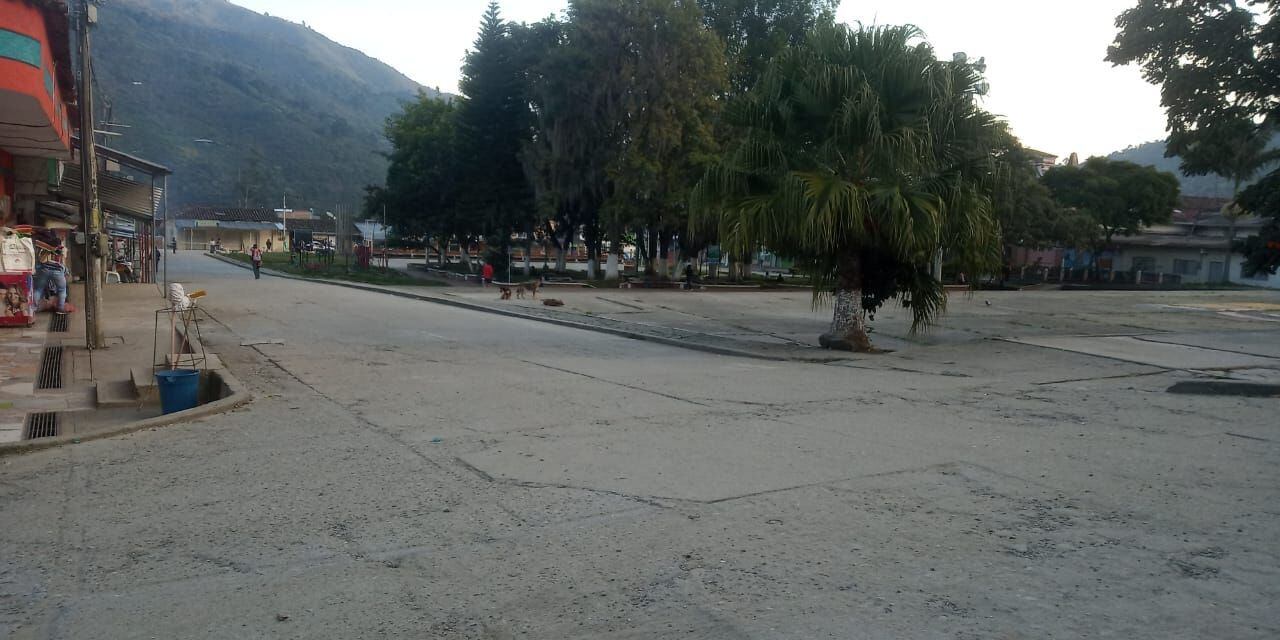 Esta localidad es una de las zonas con más cultivos ilícitos en el país. Crédito: Colprensa. 