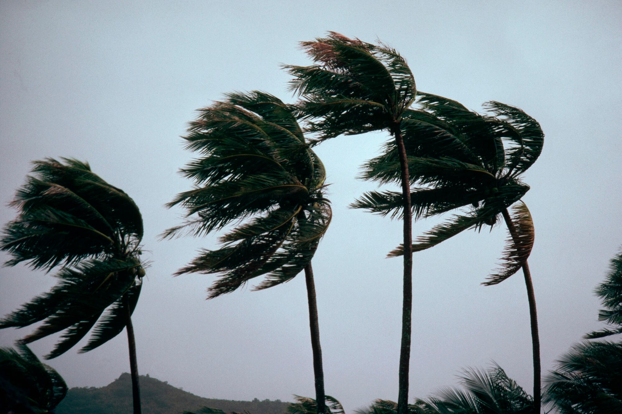 Imagen de referencia de tormenta tropical. Foto: Getty Images