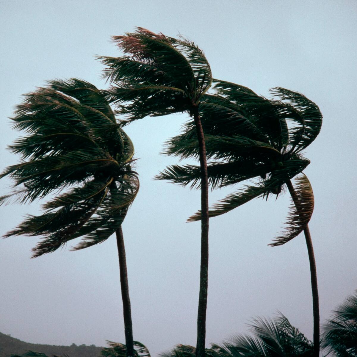 22 viviendas en San Andrés resultaron afectadas tras el paso de la tormenta Bonnie