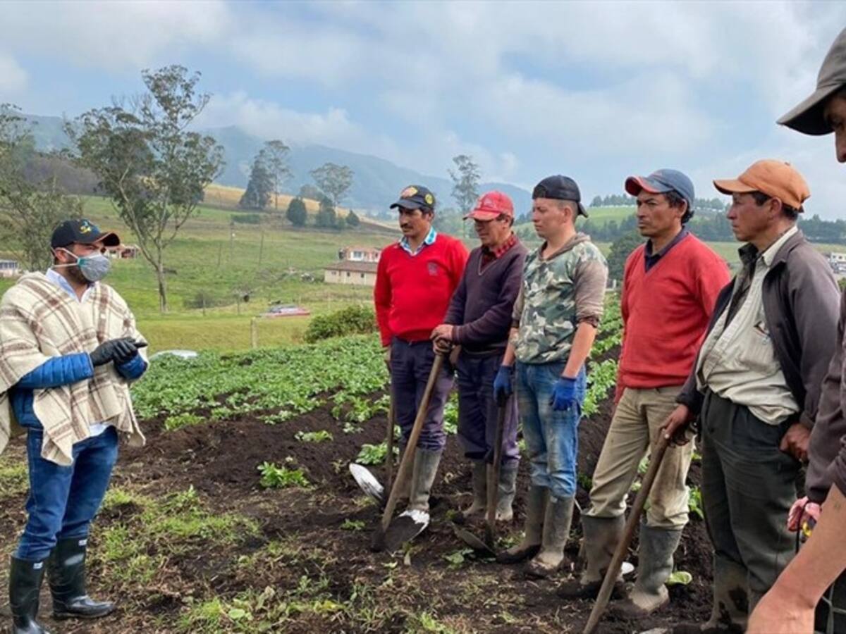 Se requiere de un plan claro de seguridad alimentaria por Covid - 19: César Pachón