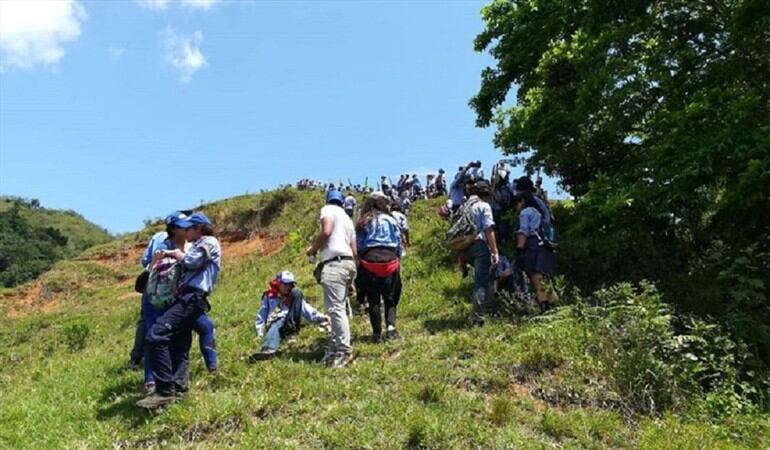 Foto: En Risaralda generan conciencia sobre la prevención de incendios forestales