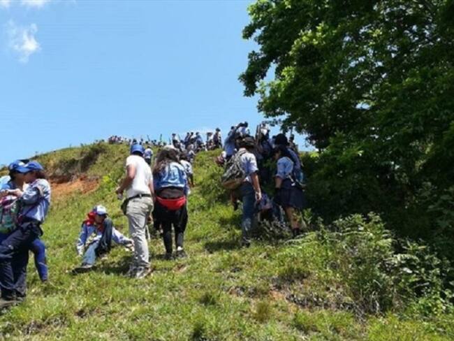 Foto: En Risaralda generan conciencia sobre la prevención de incendios forestales