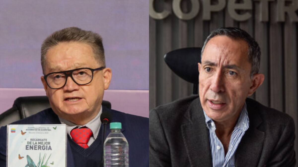 Supimos un mes después y se suspendió: García Realpe por millonario otrosí para medir impacto de Roa