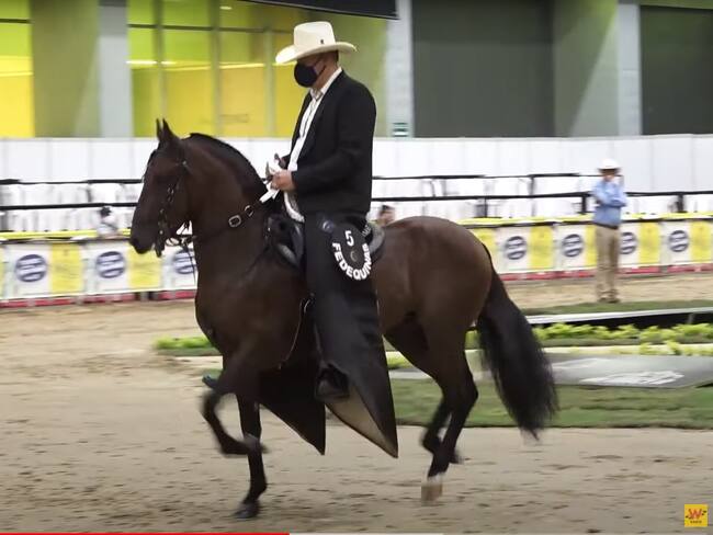 Edición 38 de la Feria Nacional Equina del Caballo Criollo Colombiano. Foto: La W