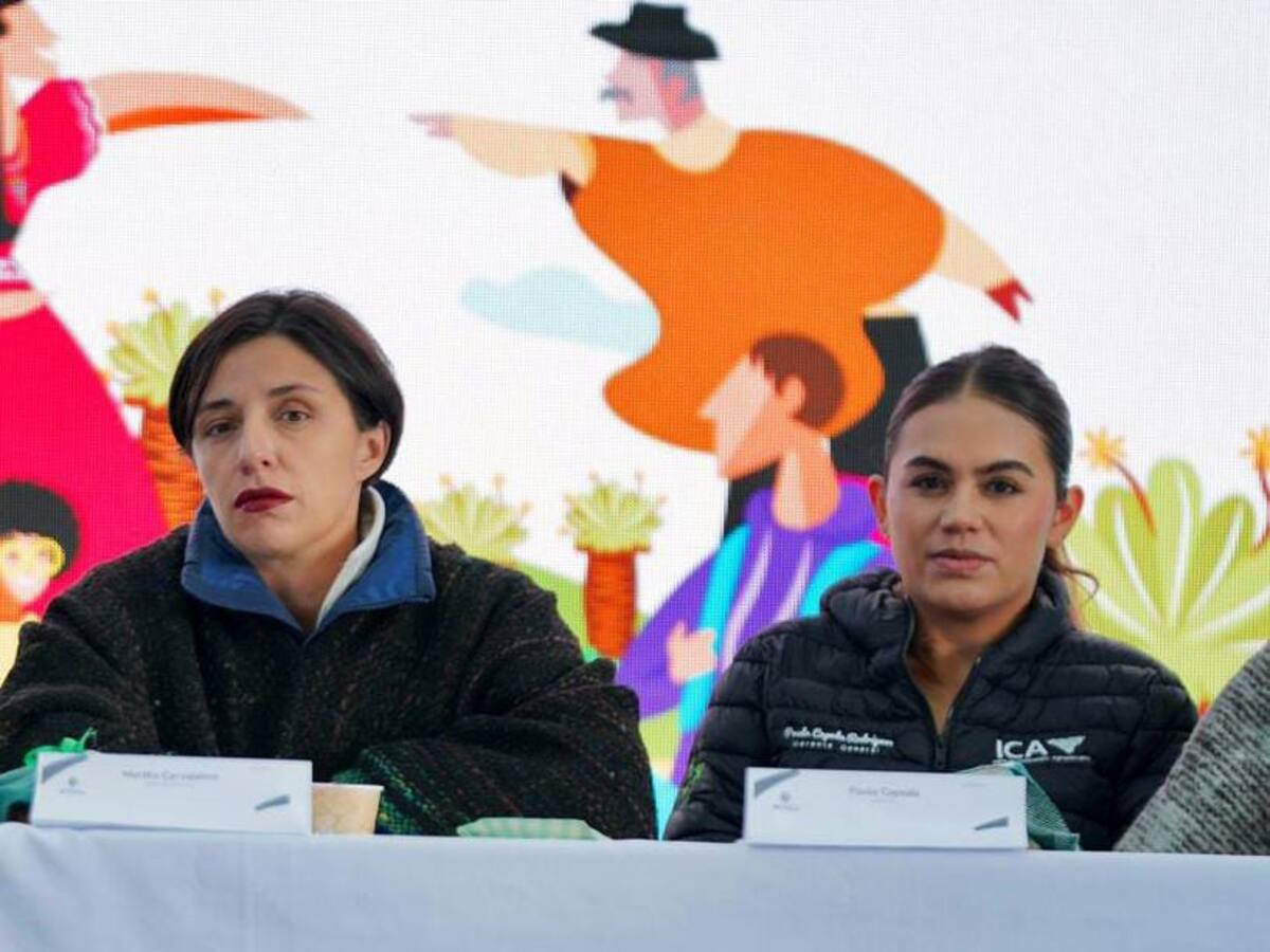 Productores de papa reciben apoyo del Instituto Colombiano Agropecuario (ICA)