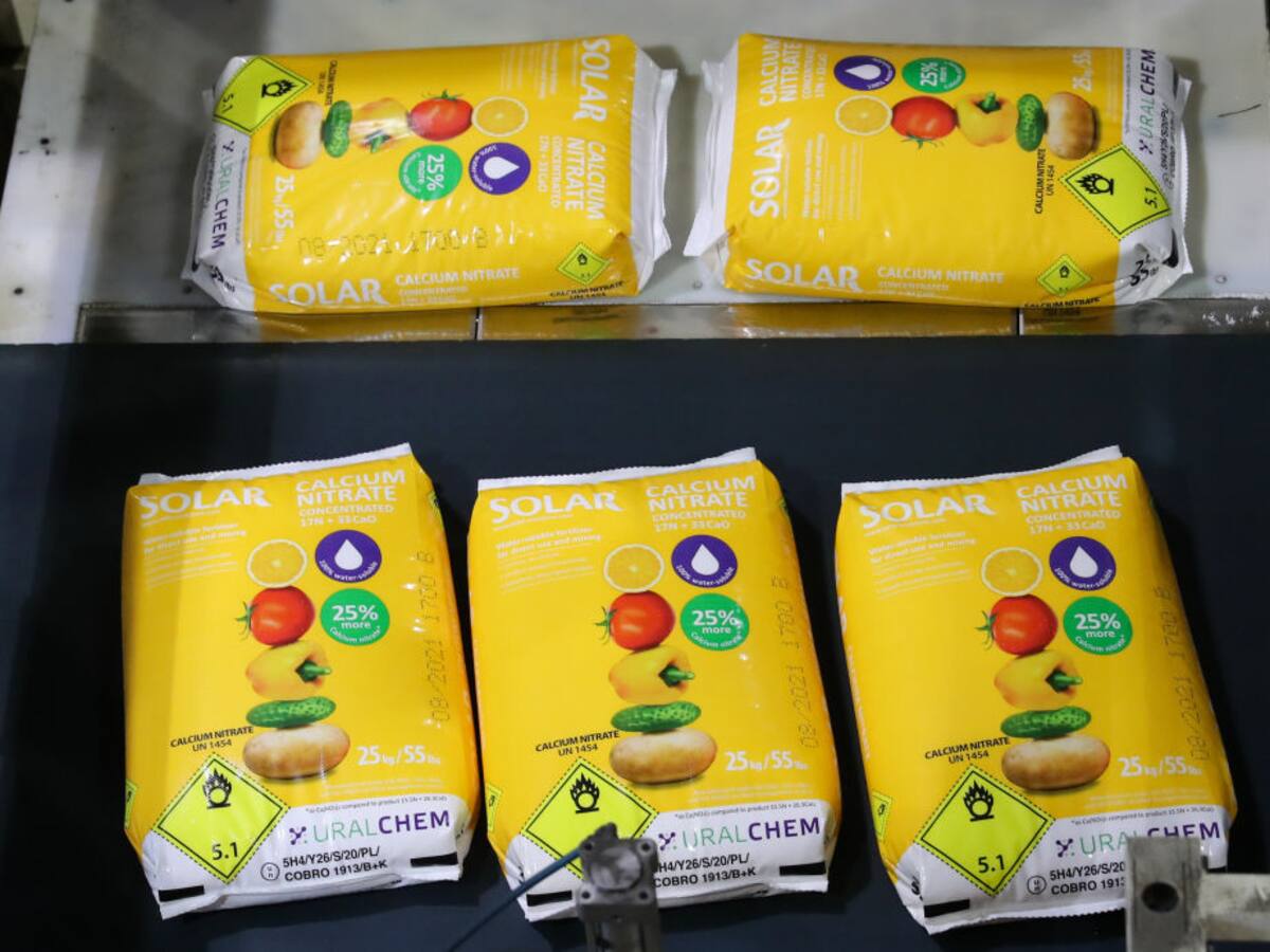 Sanciones contra Rusia pueden disparar precios de los alimentos: Vladimir Putin