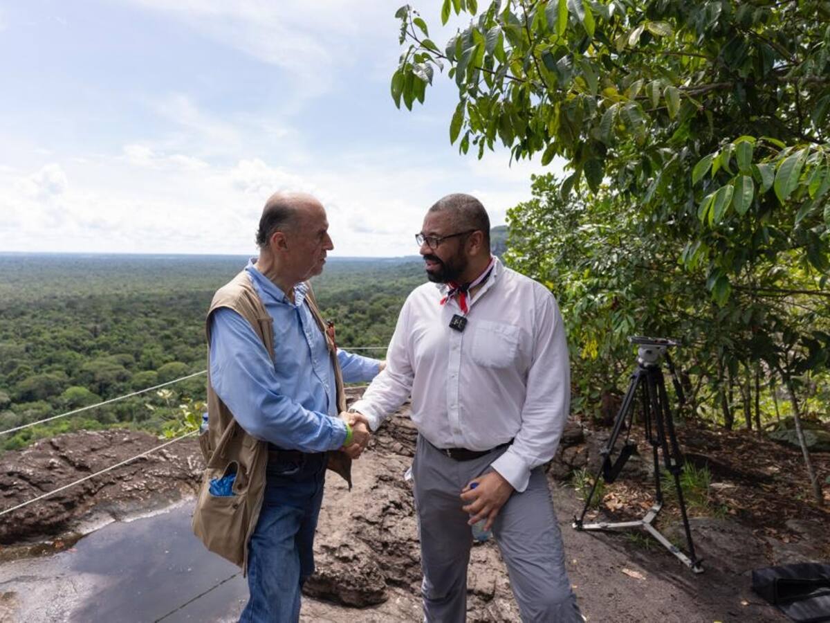 Reino Unido anuncia aporte de más de 13 millones de libras para combatir deforestación