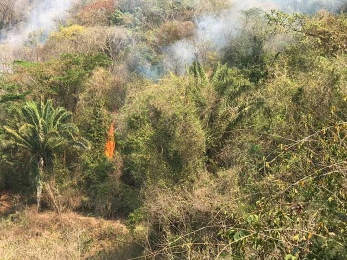 Continúan los incendios en la Sierra Nevada de Santa Marta