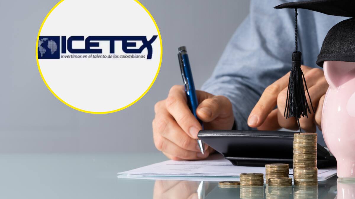¿Cuáles son las líneas de crédito Icetex para financiar un pregrado? Estas son las tasas de interés