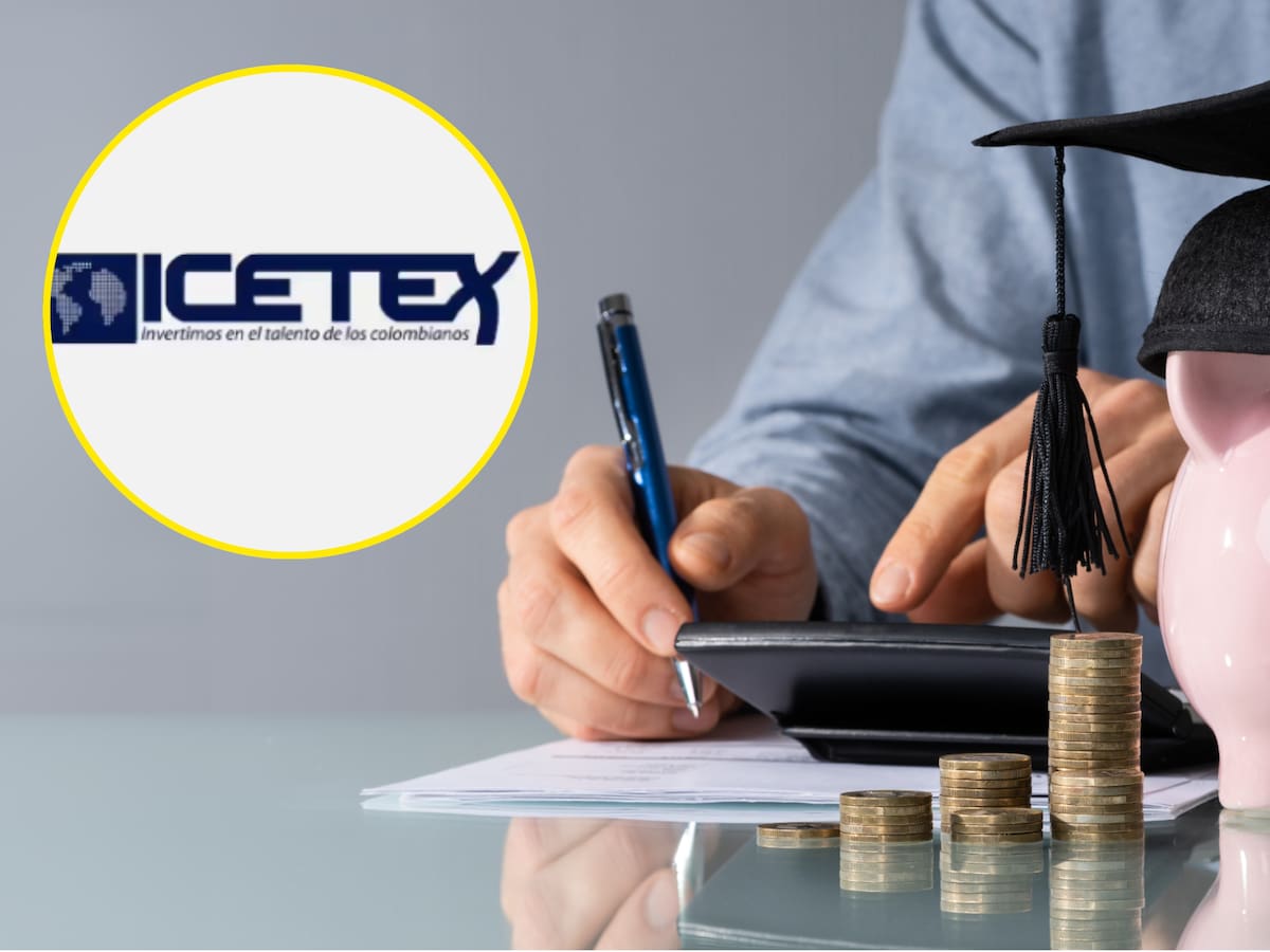 ¿Cuáles son las líneas de crédito Icetex para financiar un pregrado? Estas son las tasas de interés