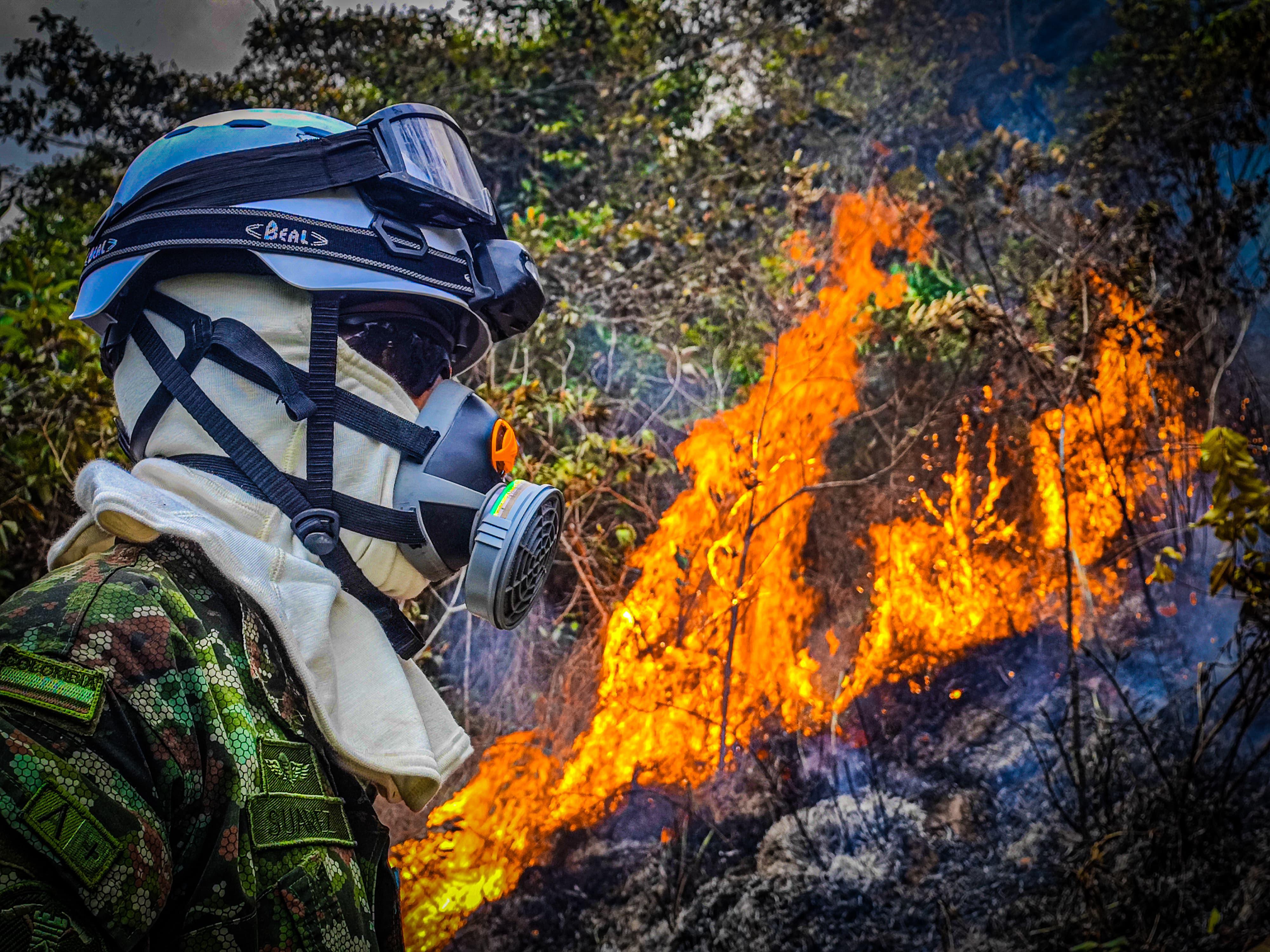 Crédito: Ministerio de Defensa y Fuerza Aérea