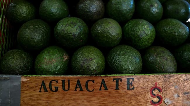 Colombia pasó de tener 49.056 hectáreas cultivadas en 2014 a 73.986 hectáreas en 2018. Foto: Getty Images