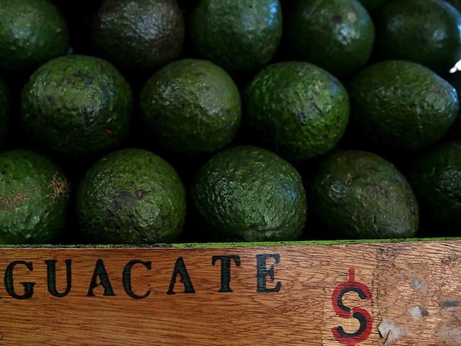 Colombia pasó de tener 49.056 hectáreas cultivadas en 2014 a 73.986 hectáreas en 2018. Foto: Getty Images