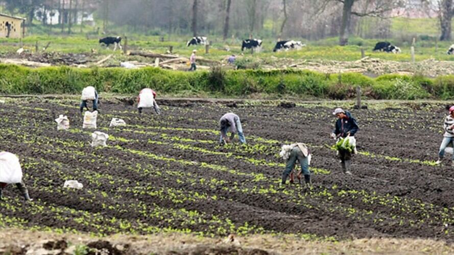 Dignidad Agropecuaria expuso a Minagricultura los puntos que preocupan del agro colombiano. Foto: Colprensa