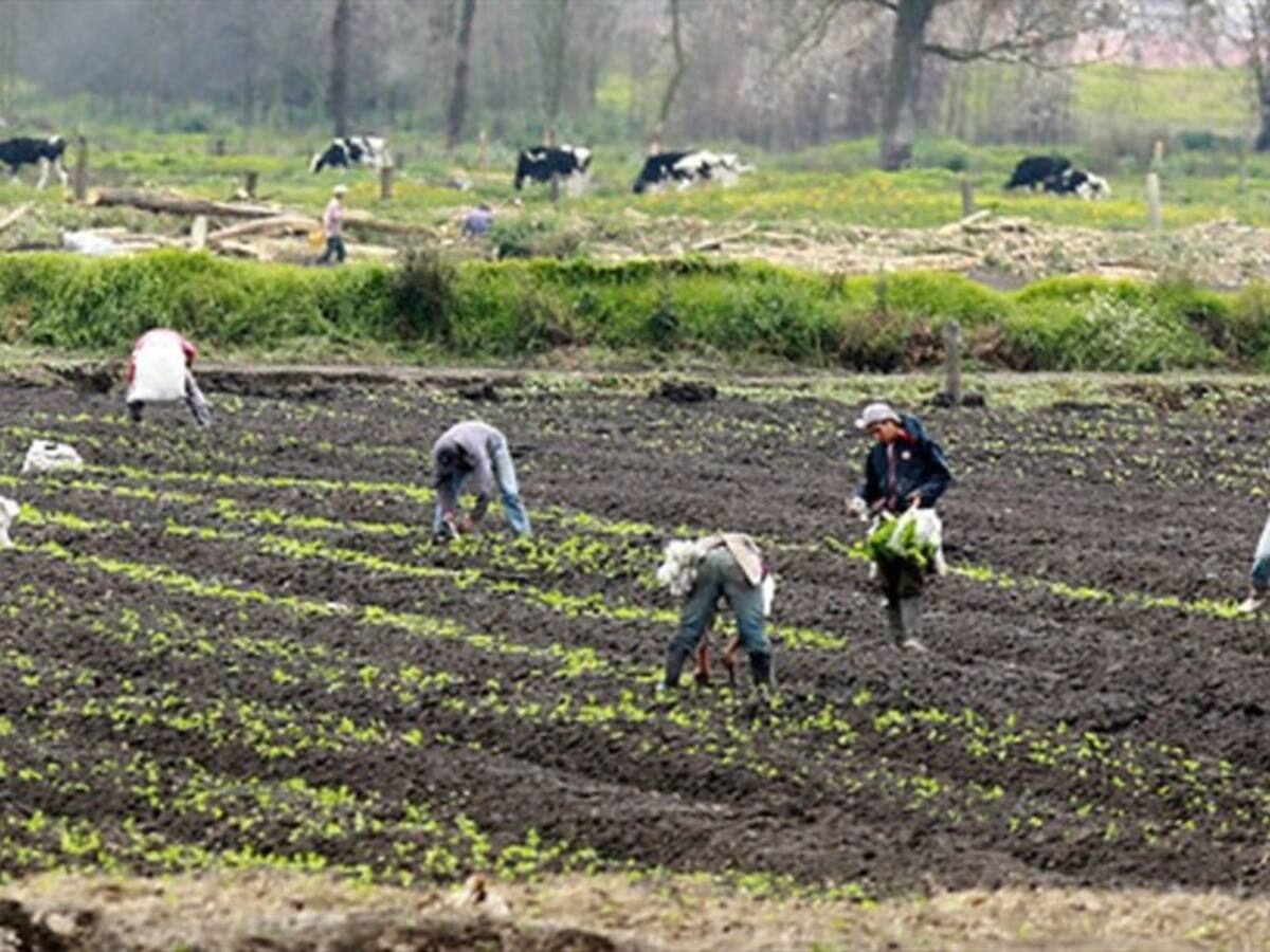 Dignidad Agropecuaria expuso a Minagricultura los puntos que preocupan del agro colombiano