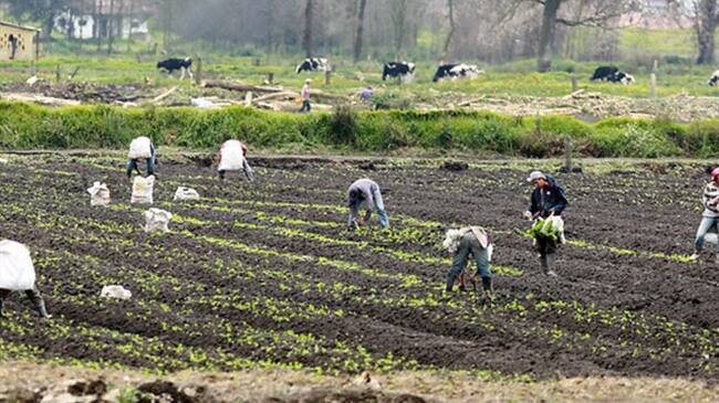 Dignidad Agropecuaria expuso a Minagricultura los puntos que preocupan del agro colombiano. Foto: Colprensa