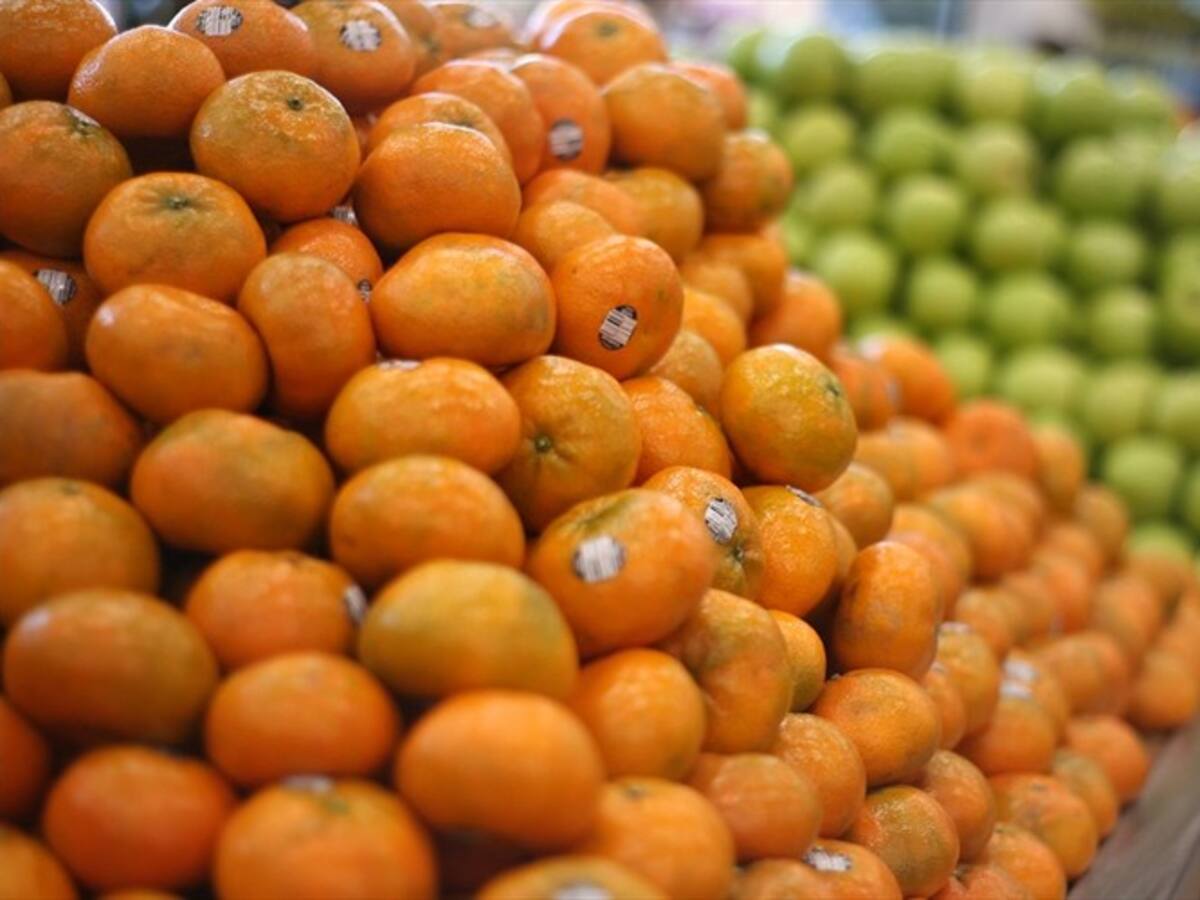 Mantener la seguridad alimentaria es una empresa de todos los colombianos: minagricultura