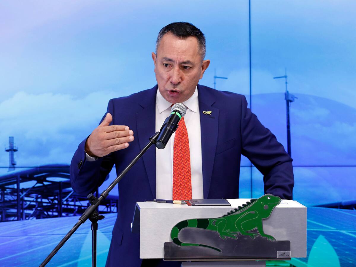 ¿Colombia está ad portas de una crisis energética? Ecopetrol responde