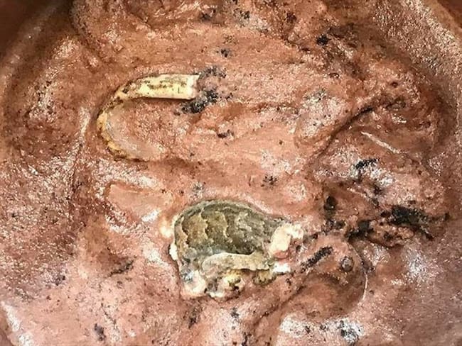 Indignación por la presunta aparición de un reptil muerto en un vaso de helado. Foto: Cortesía