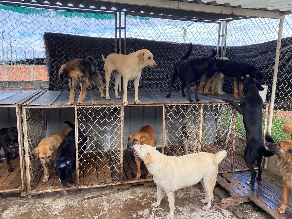 Denuncian desalojo del coso munipal de Chiquinquirá; Alcaldía responde