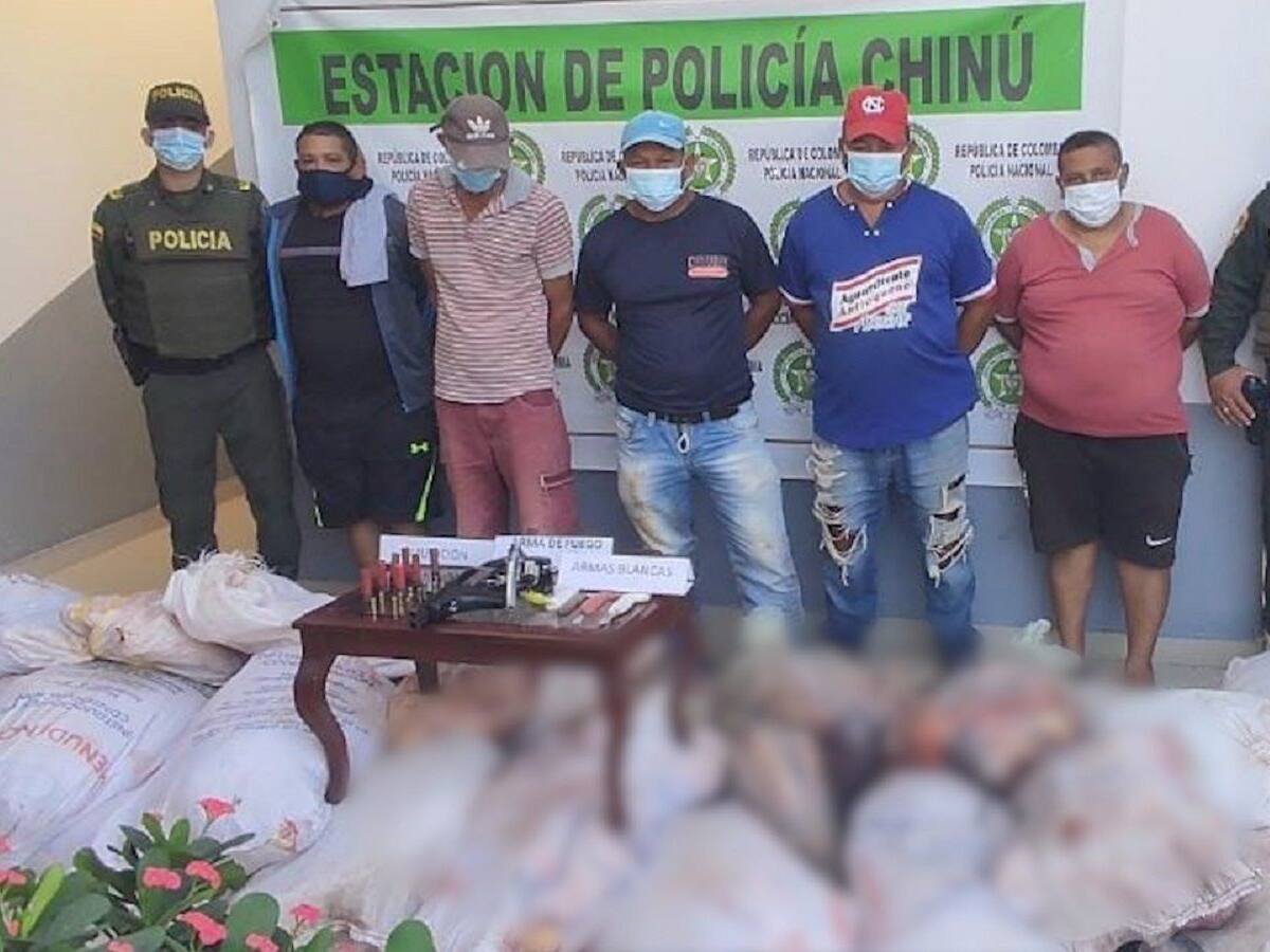 Casa por cárcel para cinco hombres que habrían robado varias reses en Córdoba