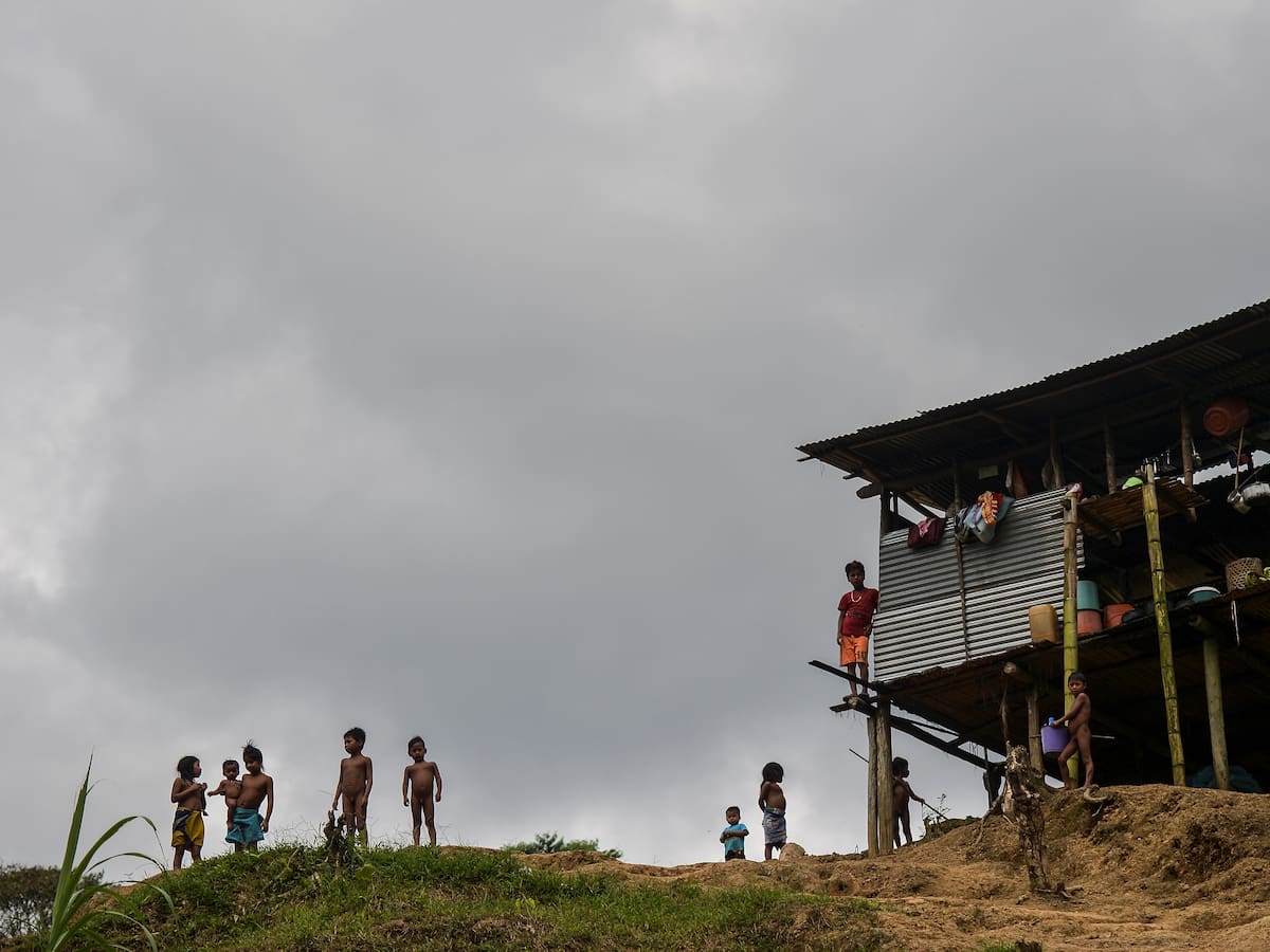 ONG rechazó actos de violencia sexual que sufren niños indígenas en Colombia