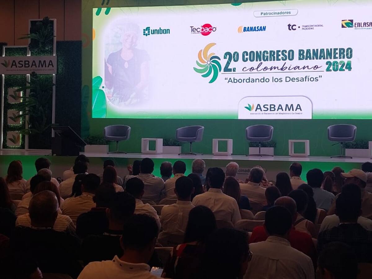 Más de 770 pequeños productores bananeros y plataneros mejoraron sus unidades productivas