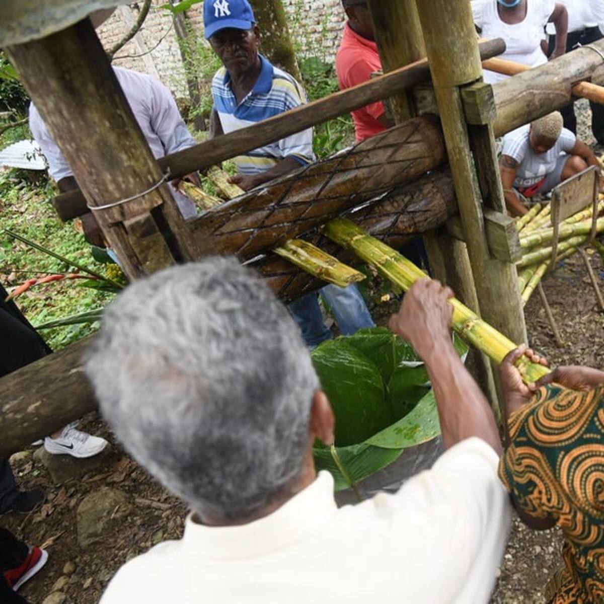 No hay que satanizar el viche: presidente de la Asociación Colombiana de Salud Pública