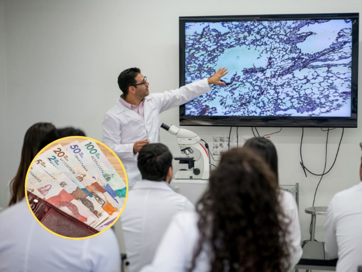 3 carreras muy bien pagadas en Colombia que pocos están estudiando ¿cuáles son?