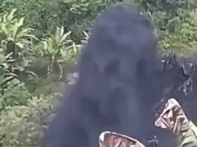 Emergencia ambiental en Nariño. Foto: Sigue La W