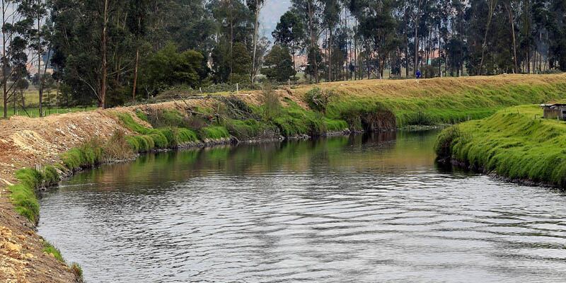 Reserva Forestal Protectora del Río Bogotá. Foto: Gobernación de Cundinamarca