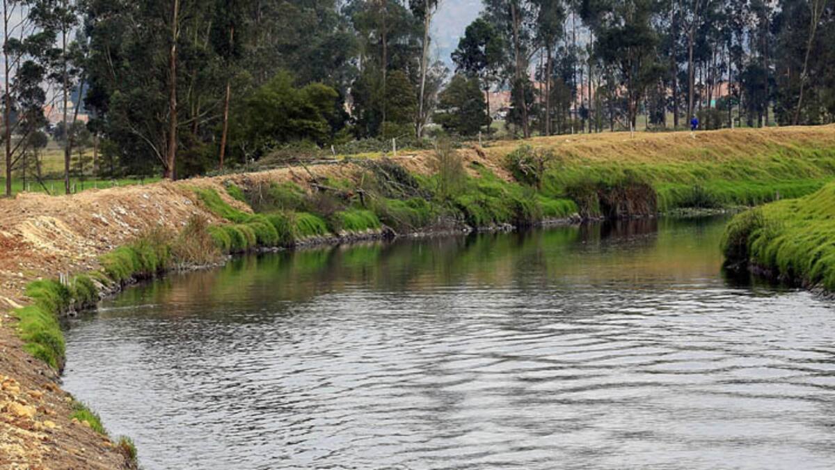 Autorizan intervención en reserva forestal para proyecto eléctrico para Bogotá