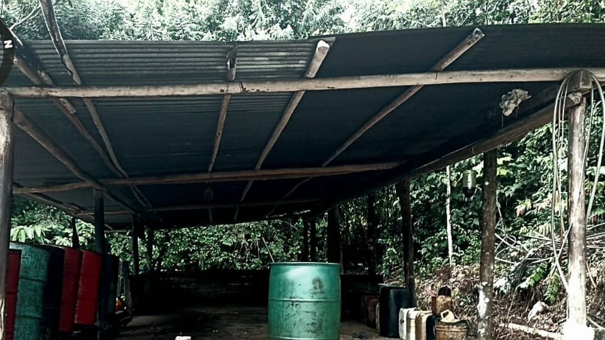 Destruyen laboratorio para el procesamiento de pasta base de coca en Tibú