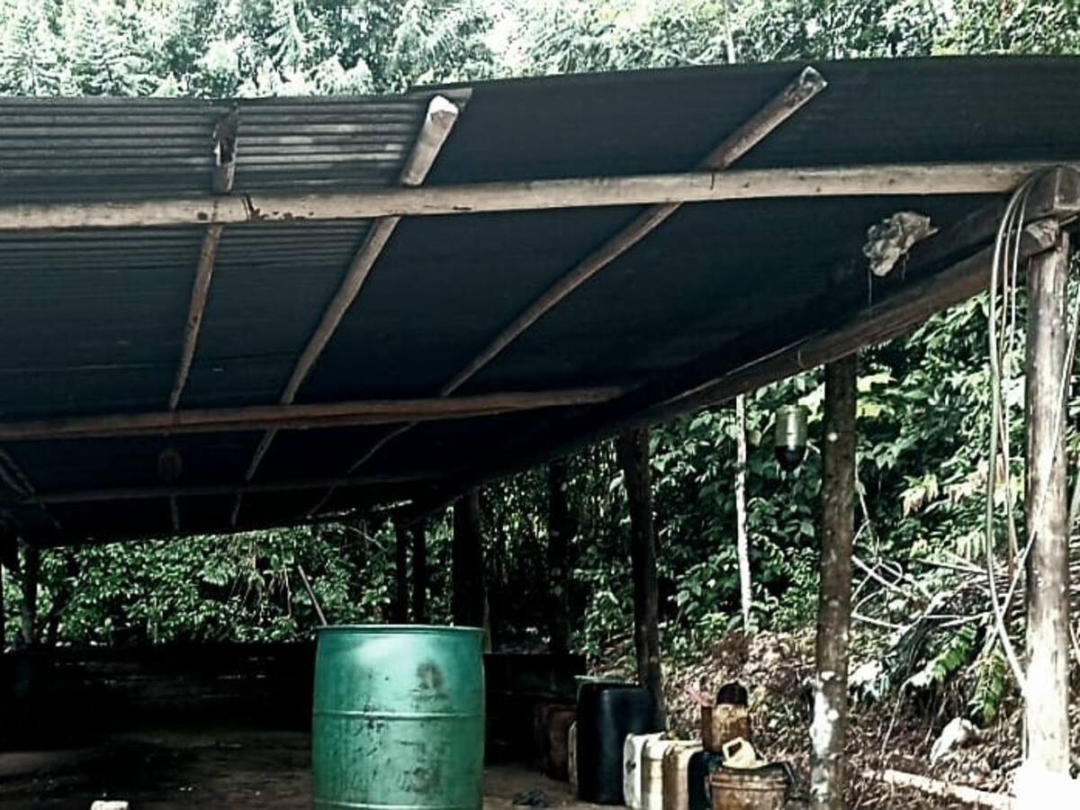 Destruyen laboratorio para el procesamiento de pasta base de coca en Tibú