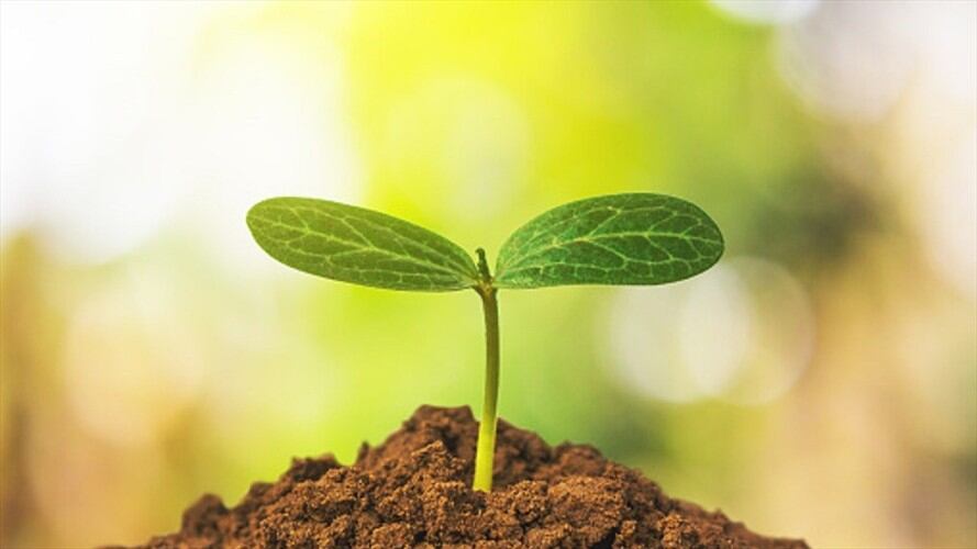 Imagen de referencia. Foto: Getty Images