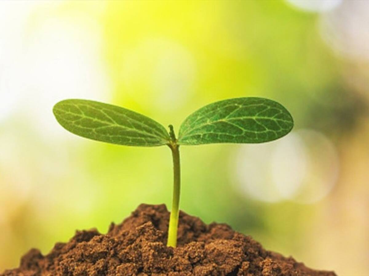 Plataforma Mercado Libre realiza su segunda edición del "Ecofriday"