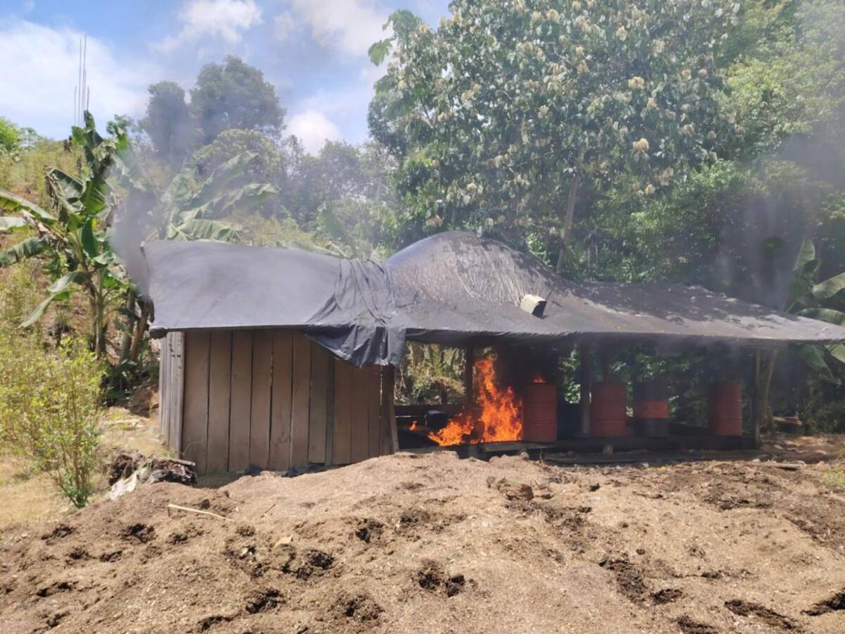 Ejército destruyó trece nuevos laboratorios para procesar coca en Córdoba y Antioquia