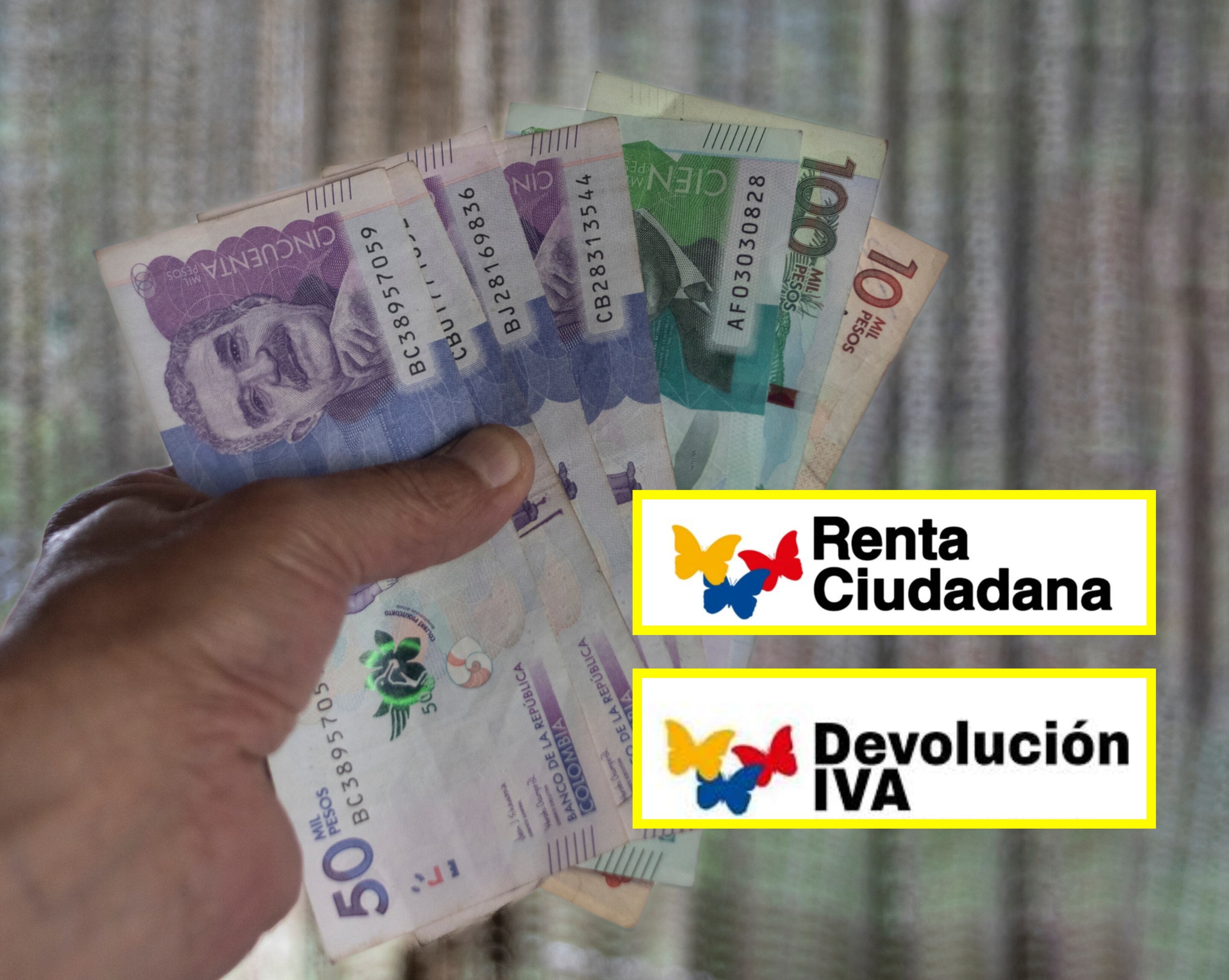Pago de Renta Ciudadana y Devolución del IVA. Foto: Getty Images/ DPS