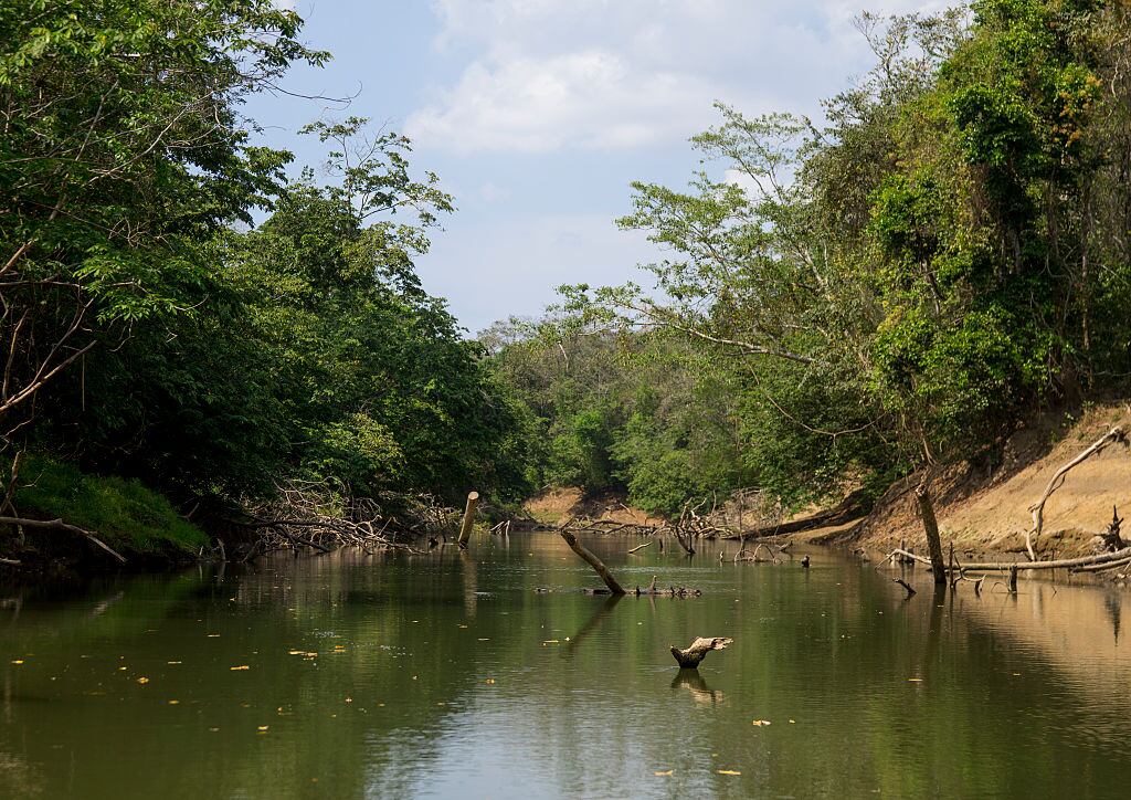 Selva Darién. (Foto: Eric Lafforgue/Art in All of Us/Corbis via Getty Images)