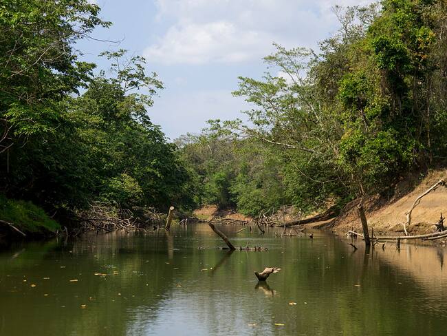 Selva Darién. (Foto: Eric Lafforgue/Art in All of Us/Corbis via Getty Images)