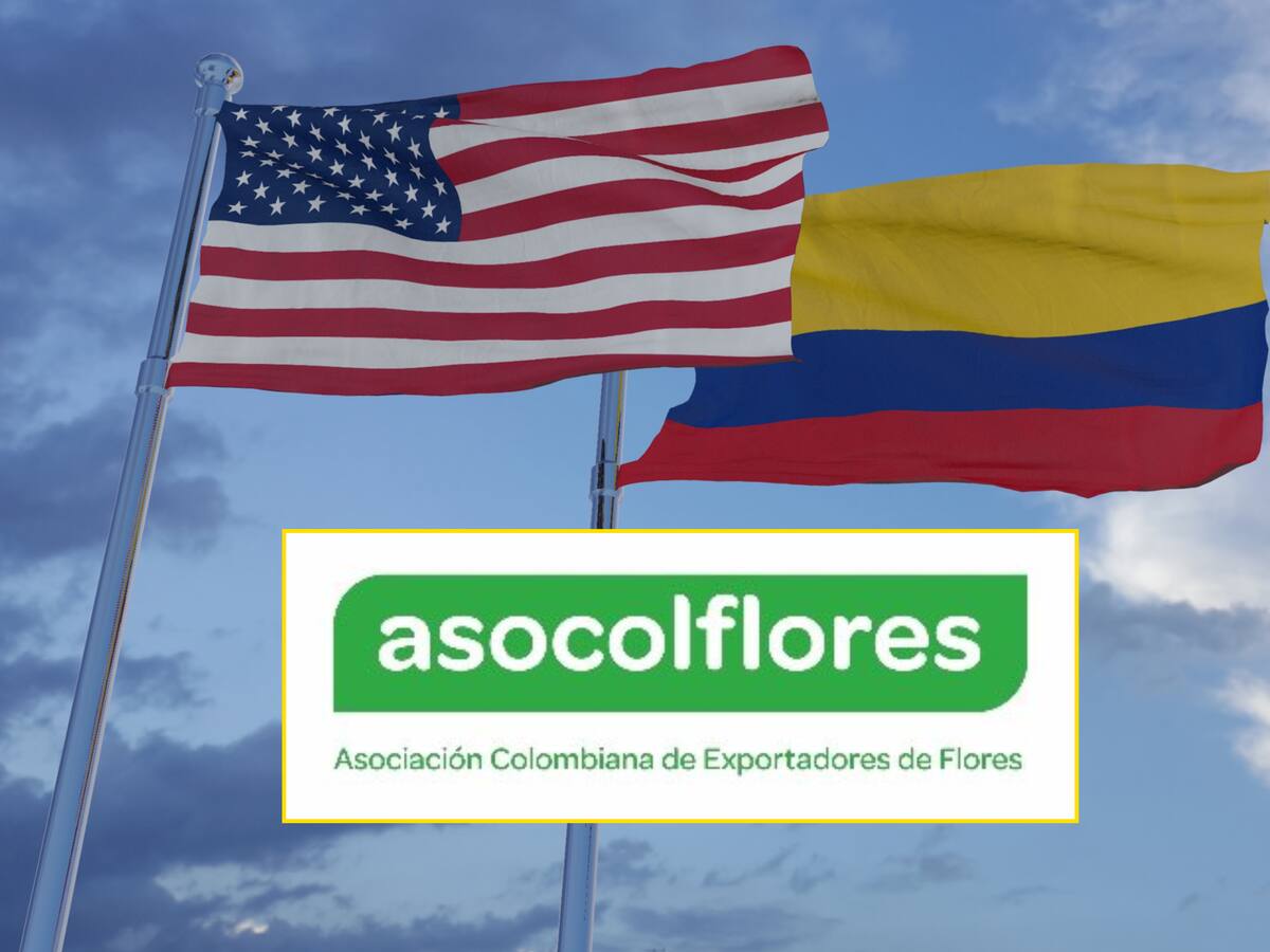 “Habría sido catastrófico”: presidente de Asocolflores por tensión de Colombia con Estados Unidos