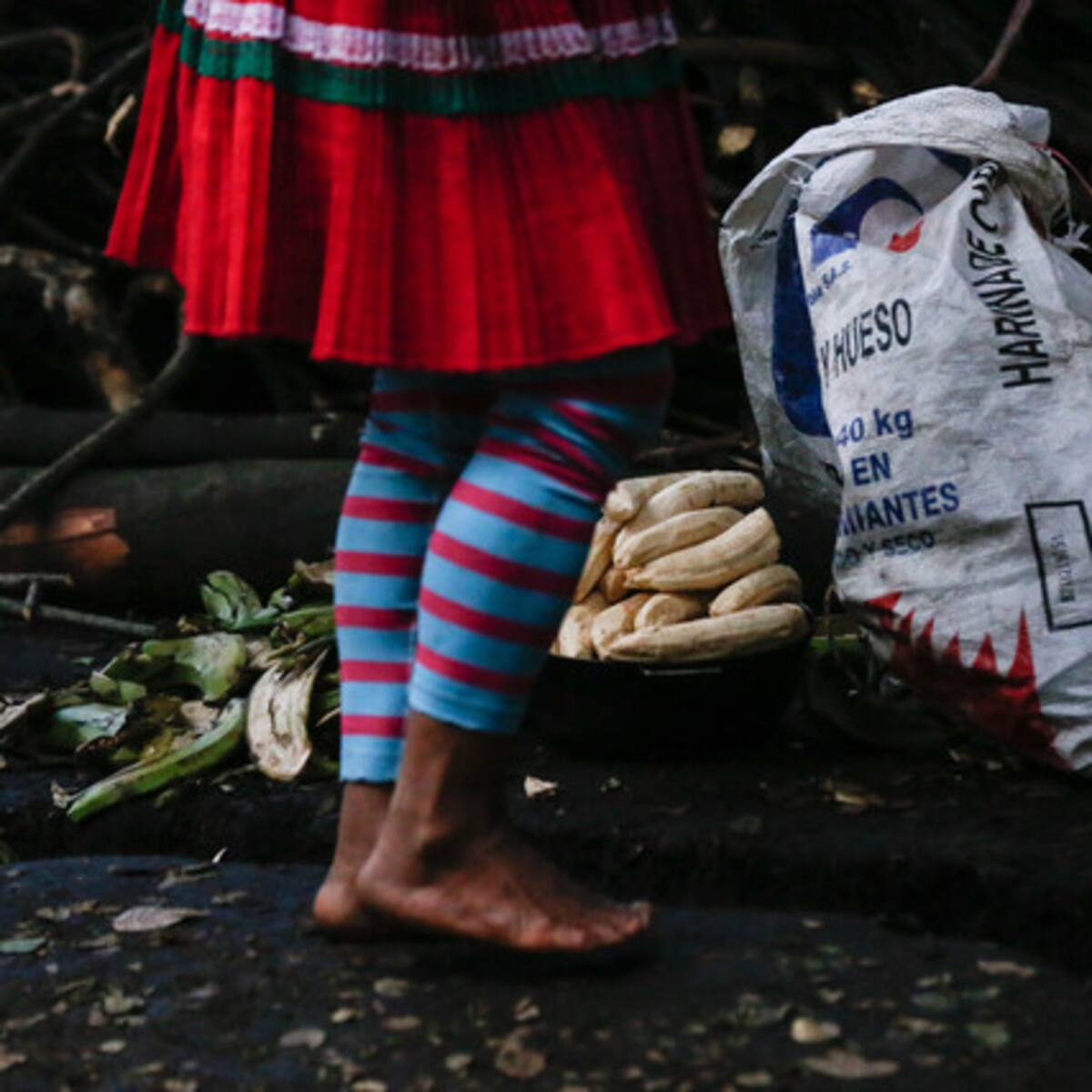 Se necesitan soluciones estructurales: consejero indígena del Huila sobre alerta humanitaria