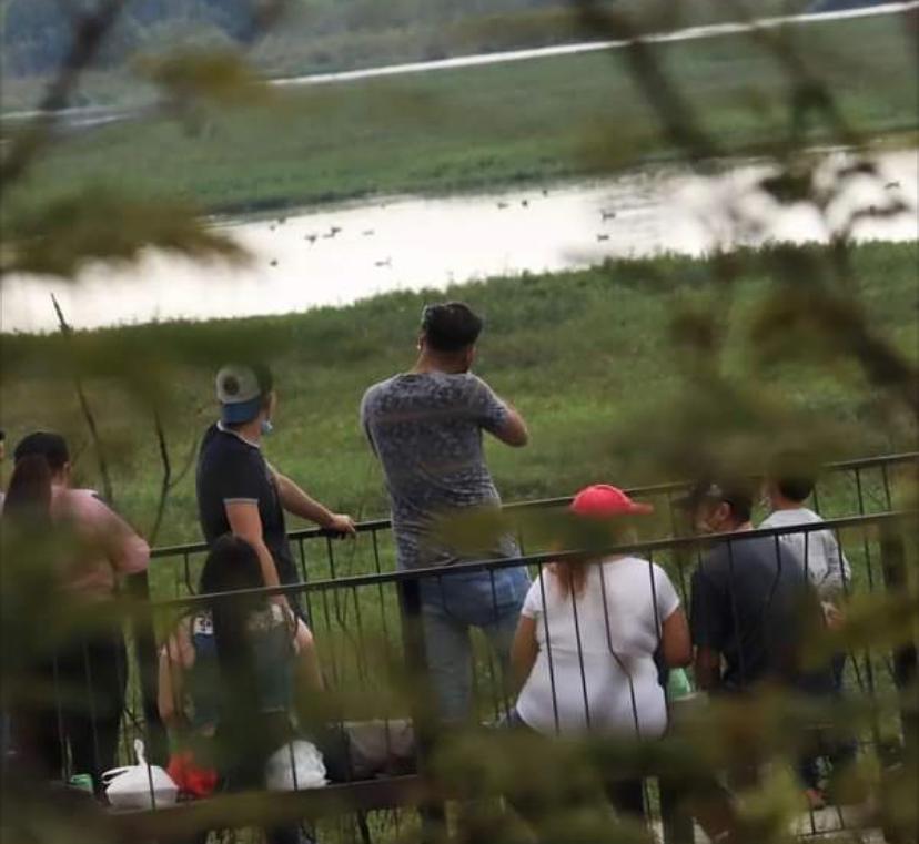 Denuncian que en humedal en Bogotá practican tiro al blanco poniendo en riesgo animales y fauna. Foto: Cortesía Alejandra Medina