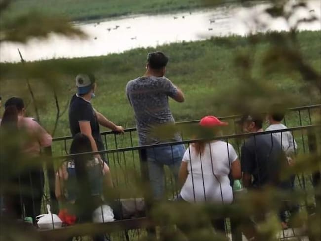 Denuncian que en humedal en Bogotá practican tiro al blanco poniendo en riesgo animales y fauna. Foto: Cortesía Alejandra Medina