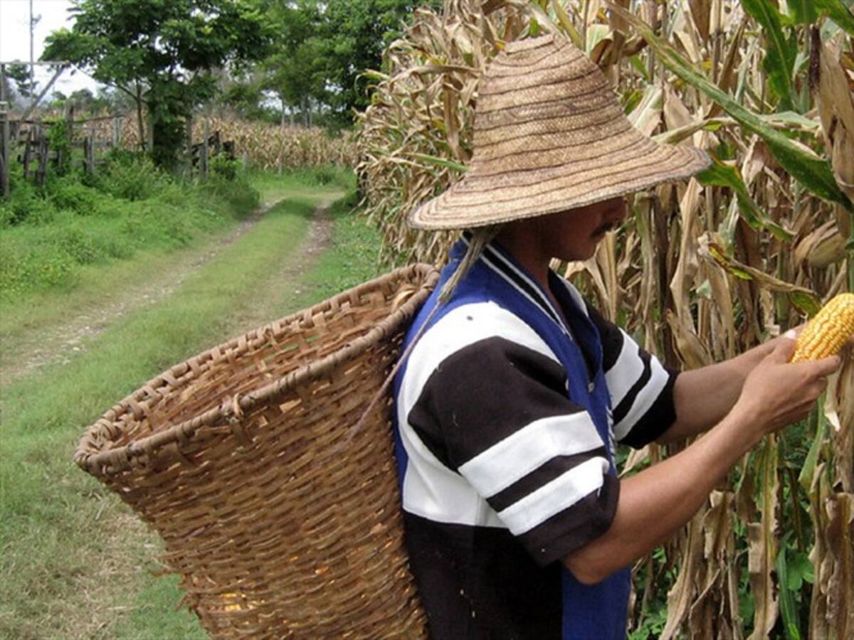 Autoridades incautaron millonaria cifra en contrabando agropecuario durante Semana Santa
